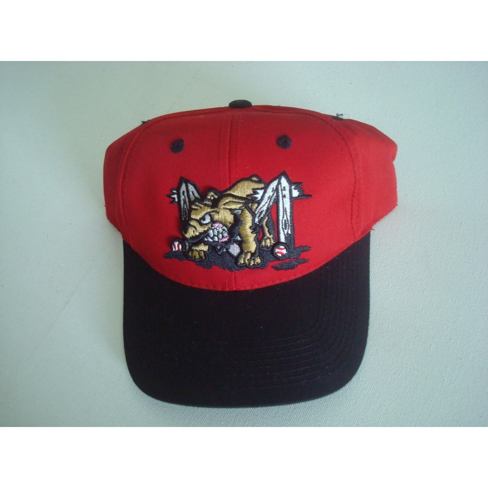 MINOR LEAGUE BASEBALL STRAPBACK DEADSTOCK HAT CAP VINTAGE BX1 BEACH GOLF